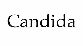 How to Pronounce Candida