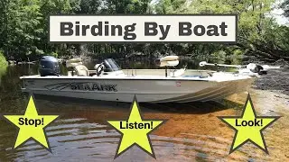 Birding By Boat: Stop, Listen, Look