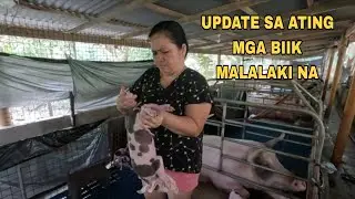 AFTER 3 DAYS PAGTUTUROK NI MOMMY NG VITAMINS SA MGA BIIK 