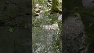 Calming water sounds for sleep #shorts #natureasmr