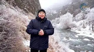 САЯЛЫ САРҚАН ӨЗЕНІ / ЖЕТІСУ ЖАҚҰТЫ / 16.01.2026