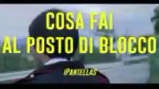 AMO I PANTELAS(3)
