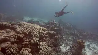 SAFETY STOP