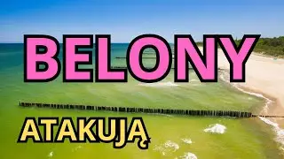 We're fishing for garfish and sea trout in the Baltic Sea [lots of bites]. Trolling or spinning? ...