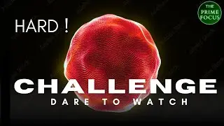 Hard Focus Challenge 🔴 |Concentrate on plus sign + | Eye Exercise & Mind Training