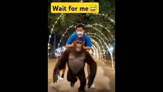 Where are you going #amazingeffects #funny