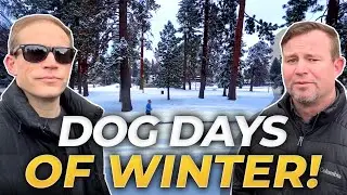 THE DOG DAYS OF WINTER In Central Oregon: Insights Into Bend OR Seasons | Relocating To Bend Oregon
