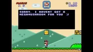 Super Mario Flash 2 custom Level 