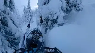 Arctic Cat Alpha One 2019 | GoPro Fusion 360 | First Backcountry rides
