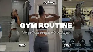 highly requested gym routine!