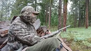 Spring Turkey Season | 2022 Washington Part 2