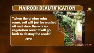 Nairobi Beautification Controversy