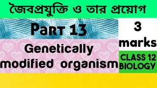 What is Genetically modified organism || class 12 biology || H.s exam
