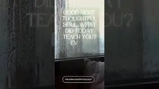 The Day's Wisdom What did today teach you, thoughtful soul? Every experience is a lesson