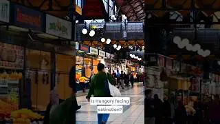 Is Hungary&nbsp;facing extinction? Birth rate hits shocking low #Hungary #Hungarian #magyar #magyarorsz&aacute;g