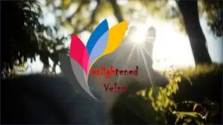 Welcome to enlightened ve!ns  !!!   Introduction  -  What we aim ?  The arena of Gk