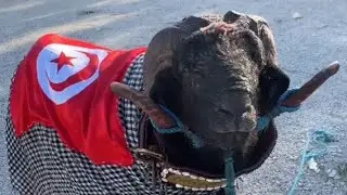 مسيرة شمعون 7 مباريات 🏆 مفاجأة البطولة 😱