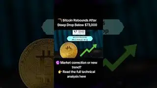 🪃 Bitcoin Rebounds After Steep Drop Below $73,000