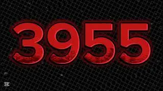 3955+
