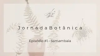 Jornada Botânica episódio #1 - Samambaia