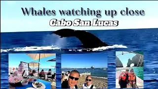 Mexican Rivera cruises 2025 part 2 with Discovery Princess; Cabo San Lucas.