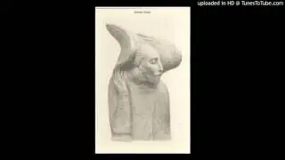 Brahim Yilmaz &ndash; Scillas And White Camassias