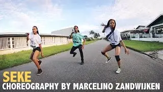 Dobble ft Dr. Slim - Seke | #AFROSENSATION | Choreography by Marcelino Zandwijken | @marzooo7