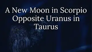 A New Moon in Scorpio Opposite Uranus in Taurus