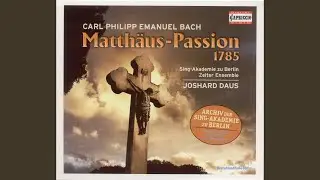 St Matthew Passion, H. 798: Er ist des Todes schuldig (Chorus)
