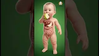 Ever wondered how guava works inside an 8-month baby&rsquo;s body? Watch this 👶🍈 #trending #viral