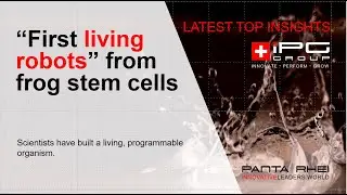 &ldquo;First living robots&rdquo; from frog stem cells