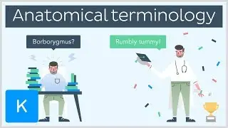 Why you need anatomical terminology as a healthcare professional - series intro  |&nbsp;Kenhub