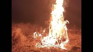 New Year Camping Event 2023 | BARGI DAM | JABALPUR | TREXPERT