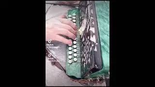 Синий платочек на гармони чайка