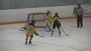 Waterloo Wolves 2 New Hamburg Huskies 1