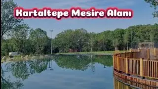 Tepe Piknik Alanı gezelim görelim / Çerkezköy - Tekirdağ