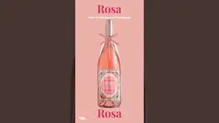 Winehub New Collection: Dolce & Gabanna and DonnaFugata Wines