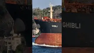 Bosphorus the Magnificent #istanbul