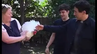Markiplier overcoming his fear of chickens for 4 minutes and 2 seconds