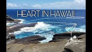 Diverse Official- Heart In Hawaii ❤💛💚 (official music video)