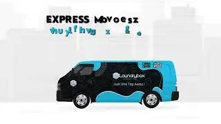 Express Laundry Services