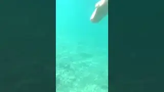 snoorking Croatia 07 2021
