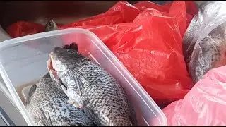 let's clean fish