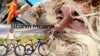 De nieuwe Storm Moana - Back on the beach