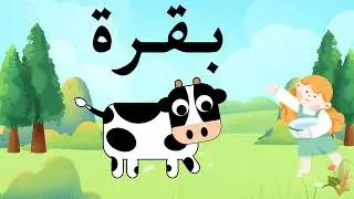 Learn the second letter in the Arabic alphabet: ba ب