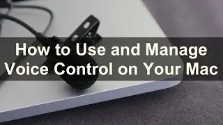 How to Use and Manage Voice Control on Your Mac?
