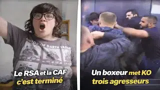 Une Pleureuse RSA CAF se plaint d'avoir &eacute;t&eacute; vir&eacute; 🤔 Un boxeur d&eacute;monte 3 types en m&ecirc;me temps 😱