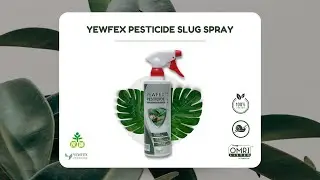 Say Goodbye to Annoying Snails and Slugs from Your Plants | YEWFEX Pesticide Slug Spray