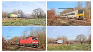 Treinen in diepenbeek 17 Januari 2026
