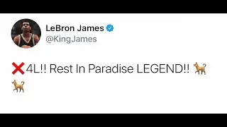 Celebrities React to Death of DMX - Icon Passes Away at 50
